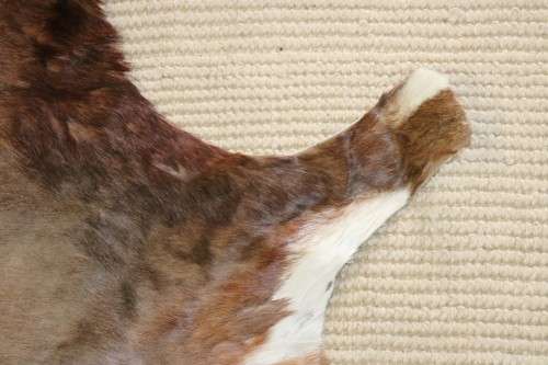 **RS17** An awesome (1,3m x 1m) genuine Blesbok skin/ hide mat in great condition