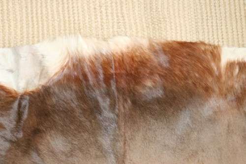**RS17** An awesome (1,3m x 1m) genuine Blesbok skin/ hide mat in great condition