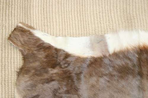 **RS17** An awesome (1,3m x 0,9m) genuine Blesbok skin/ hide mat in great condition