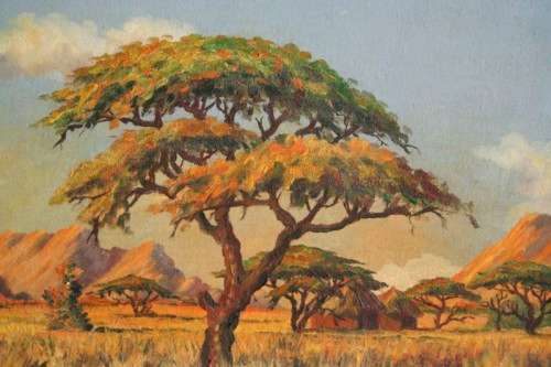 **RS17** A signed & framed oil on board painting by South African landscape artist JHL Van Zyl