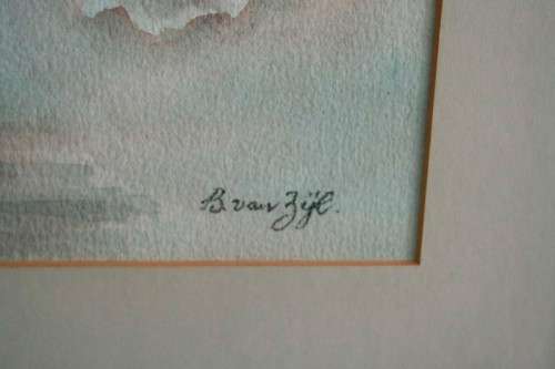 **RS17** A stunning original signed and framed "B Van Zyl" watercolour painting of vibrant flowers