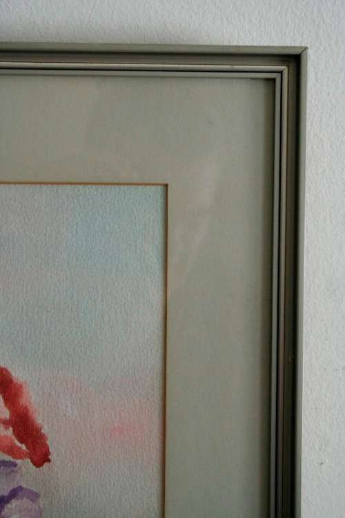 **RS17** A stunning original signed and framed "B Van Zyl" watercolour painting of vibrant flowers