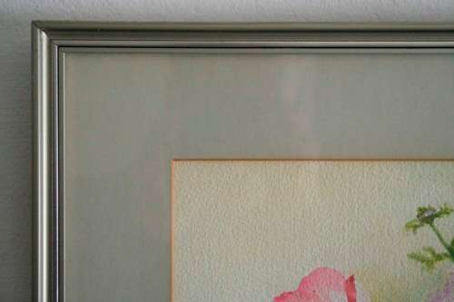 **RS17** A stunning original signed and framed "B Van Zyl" watercolour painting of vibrant flowers