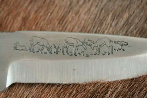 **RS17** A fantastic "surgical steel" Torro Model AS1004 Hunter knife in its original leather sheath