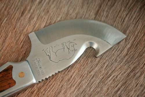 An awesome "surgical steel" Torro Model AS1003 "skinning" knife in its original leather sheath