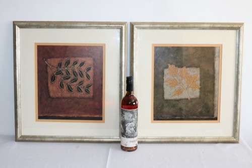 A pair of wonderfully framed (behind glass) "Leaf" illustration prints by Paul Brigham - RS17Sale