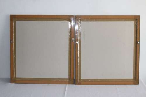 A pair of wonderfully framed (behind glass) "Leaf" illustration prints by Paul Brigham - RS17Sale