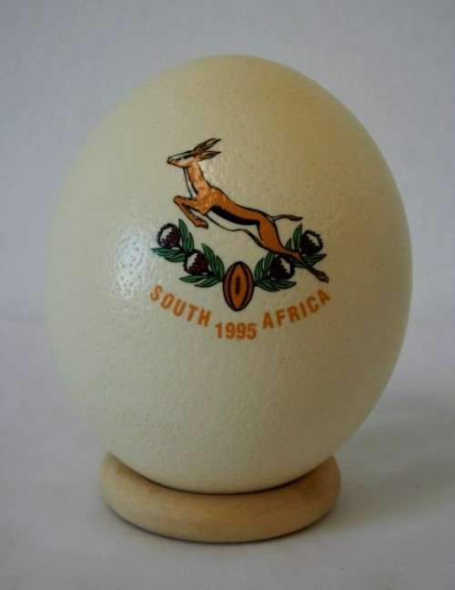 **RS17** An awesome "1995 Rugby World Cup" commemorative ostrich egg on a wooden ring display stand