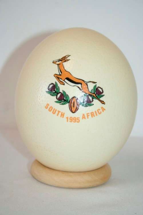 **RS17** An awesome "1995 Rugby World Cup" commemorative ostrich egg on a wooden ring display stand
