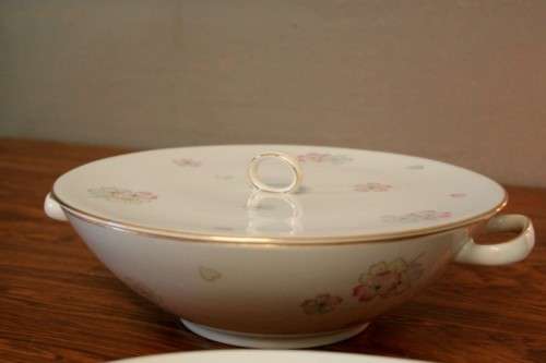 An incredible original vintage "Thomas" of Germany (Rosenthal) fine porcelain dinner service