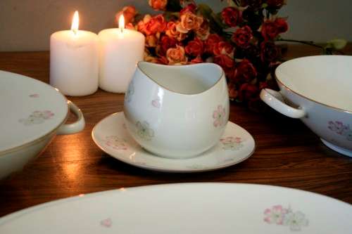 An incredible original vintage "Thomas" of Germany (Rosenthal) fine porcelain dinner service
