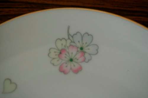 An incredible original vintage "Thomas" of Germany (Rosenthal) fine porcelain dinner service