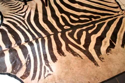 A genuine (large) Zebra skin mat in good condition,fabulous in your lapa, informal living areas