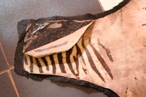 A genuine (large) Zebra skin mat in good condition,fabulous in your lapa, informal living areas