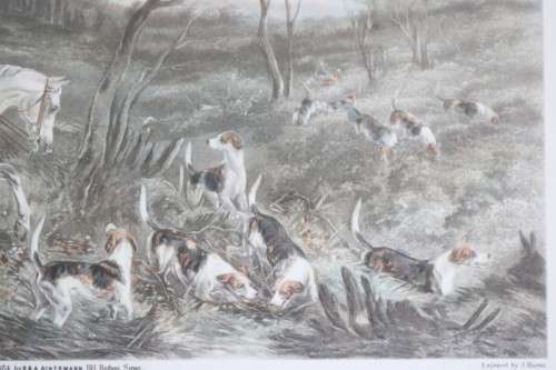 A gorgeous vintage British Hunting Scene framed print titled "Drawing Cover" by WJ Shayer - RS17Sale