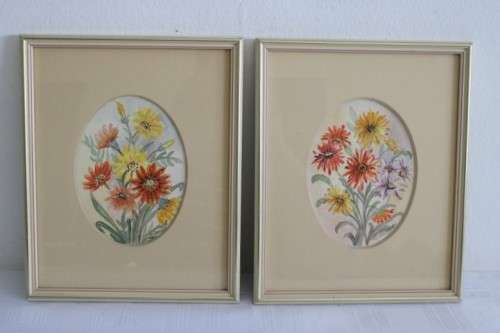 Two wonderfully painted and framed watercolour paintings of daisies by B. Van Zyl - RS17Sale