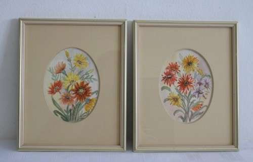 Two wonderfully painted and framed watercolour paintings of daisies by B. Van Zyl - RS17Sale