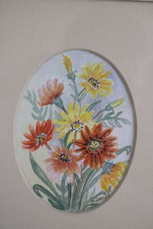 Two wonderfully painted and framed watercolour paintings of daisies by B. Van Zyl - RS17Sale