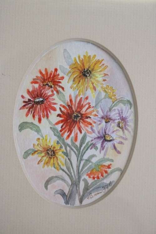 Two wonderfully painted and framed watercolour paintings of daisies by B. Van Zyl - RS17Sale