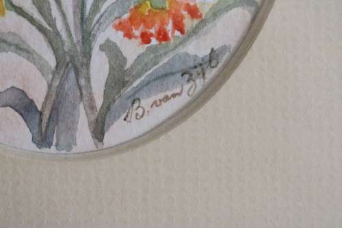 Two wonderfully painted and framed watercolour paintings of daisies by B. Van Zyl - RS17Sale