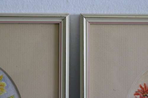 Two wonderfully painted and framed watercolour paintings of daisies by B. Van Zyl - RS17Sale
