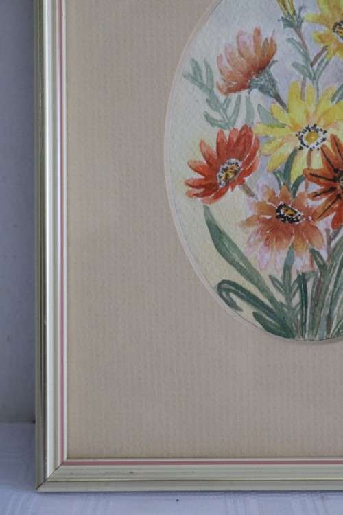 Two wonderfully painted and framed watercolour paintings of daisies by B. Van Zyl - RS17Sale