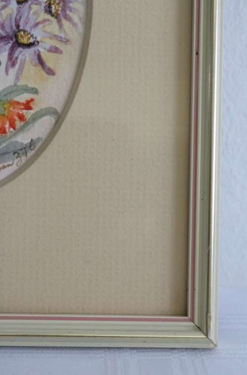 Two wonderfully painted and framed watercolour paintings of daisies by B. Van Zyl - RS17Sale