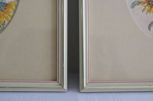 Two wonderfully painted and framed watercolour paintings of daisies by B. Van Zyl - RS17Sale