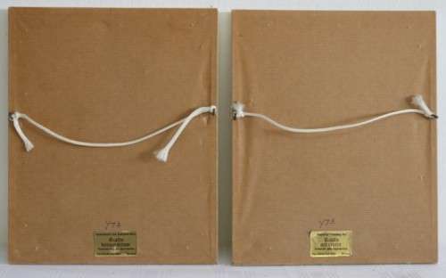 Two wonderfully painted and framed watercolour paintings of daisies by B. Van Zyl - RS17Sale