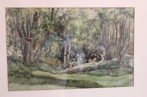 **RS17** A beautiful vintage signed "Forest Scene" watercolour painting framed behind glass