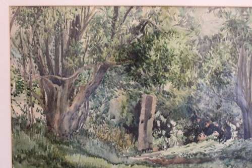 **RS17** A beautiful vintage signed "Forest Scene" watercolour painting framed behind glass