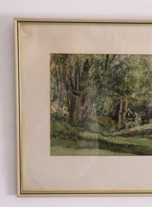 **RS17** A beautiful vintage signed "Forest Scene" watercolour painting framed behind glass