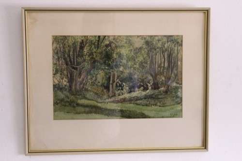 **RS17** A beautiful vintage signed "Forest Scene" watercolour painting framed behind glass