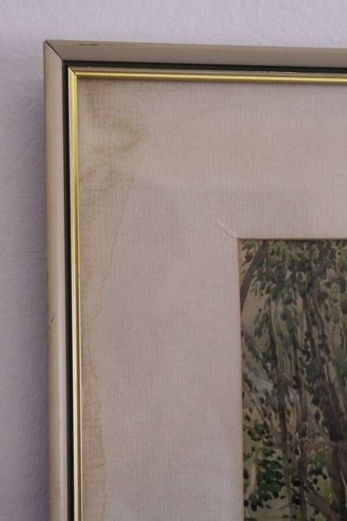 **RS17** A beautiful vintage signed "Forest Scene" watercolour painting framed behind glass