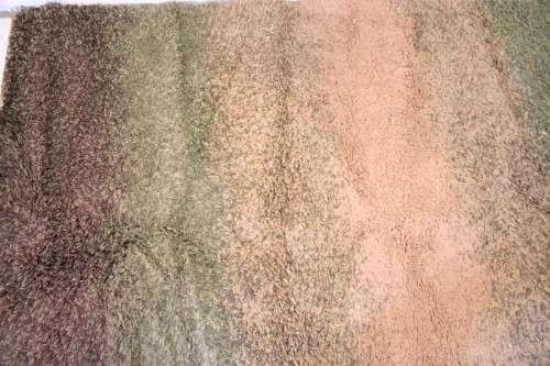 **RS17** A stunning Glowbal shaggy carpet with mixed shades of green and brown colours