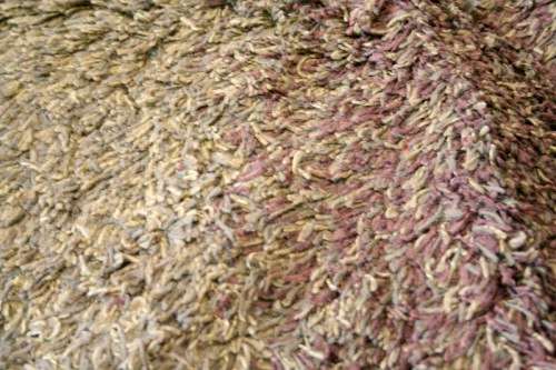 **RS17** A stunning Glowbal shaggy carpet with mixed shades of green and brown colours