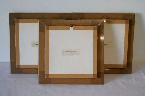 3 very collectible box framed butterflies 'Euxanthe Crowsleyi' 'Salamis Aethiops' 'Papilo Demodocus'