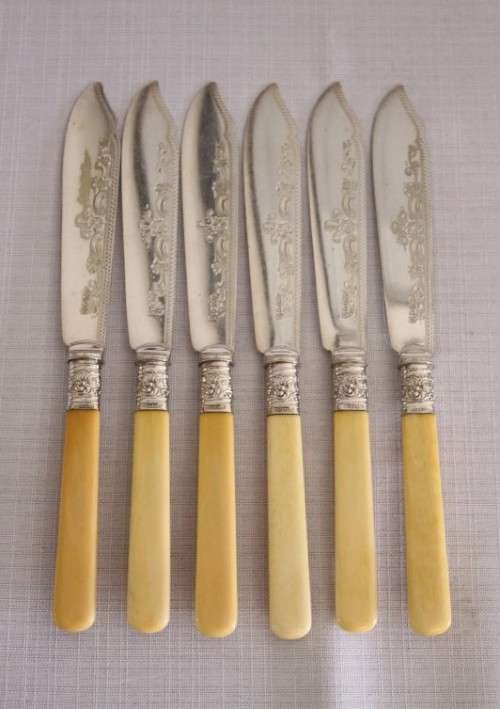 An awesome antique Victorian (c1895) "Allen & Darwin" silver plated bone handle style fish knife set