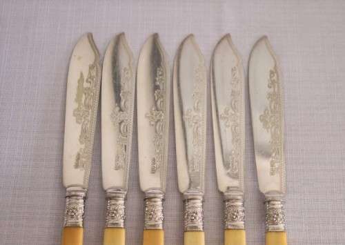An awesome antique Victorian (c1895) "Allen & Darwin" silver plated bone handle style fish knife set