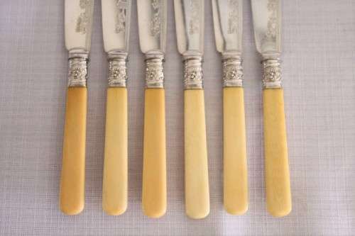 An awesome antique Victorian (c1895) "Allen & Darwin" silver plated bone handle style fish knife set