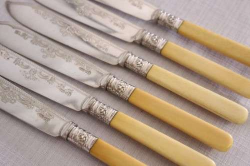 An awesome antique Victorian (c1895) "Allen & Darwin" silver plated bone handle style fish knife set