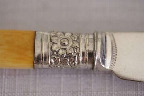 An awesome antique Victorian (c1895) "Allen & Darwin" silver plated bone handle style fish knife set