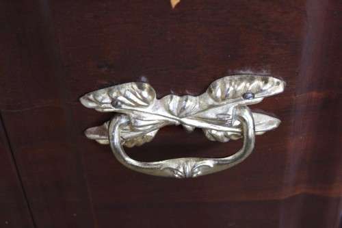 A magnificent large and HEAVY hand carved solid Imbuia ball & claw Kist with brass embellishments