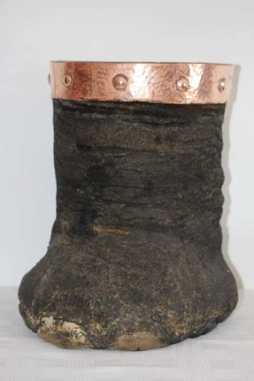 An antique (c1800's) authentic taxidermy Elephant foot umbrella stand w/ copper lining and cuff
