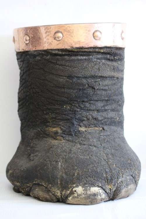 An antique (c1800's) authentic taxidermy Elephant foot umbrella stand w/ copper lining and cuff