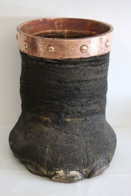An antique (c1800's) authentic taxidermy Elephant foot umbrella stand w/ copper lining and cuff
