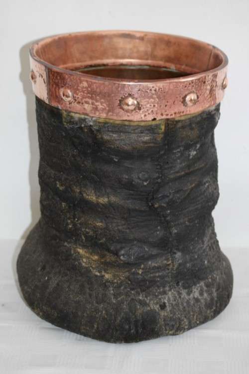 An antique (c1800's) authentic taxidermy Elephant foot umbrella stand w/ copper lining and cuff
