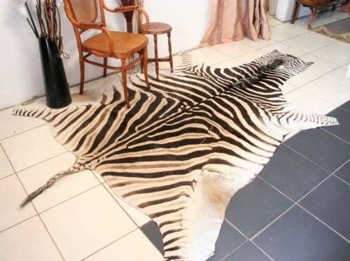 A genuine (large) Zebra skin mat in great condition,fabulous in your lapa, informal living areas