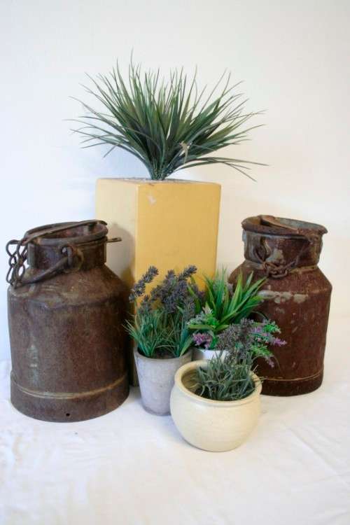 Two awesome rustic vintage 5 litre cream/ milk canister with loads of charm & character. price/can