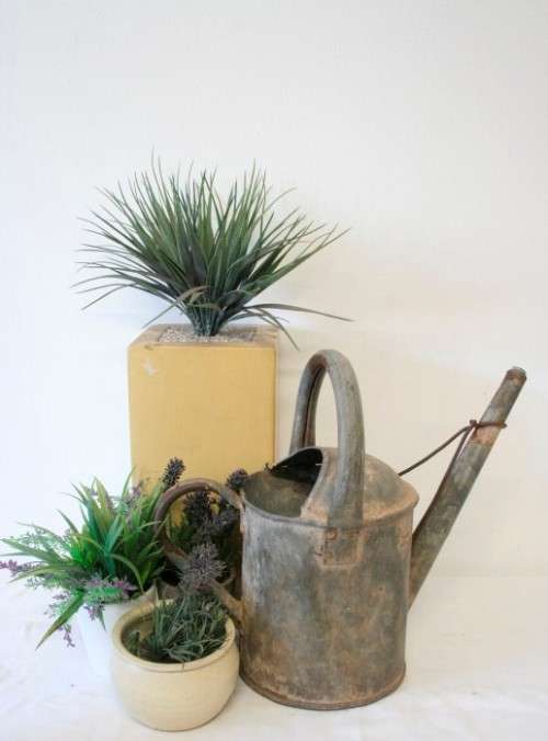 **RS17** An awesome rustic vintage watering can with loads of charm & character.